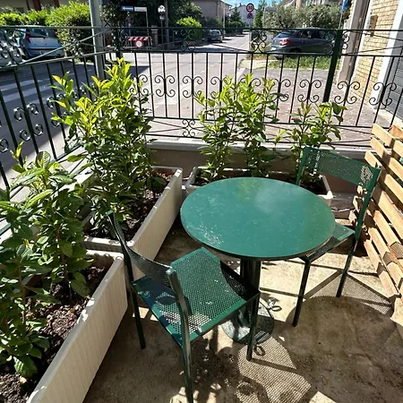 Il Paradiso Delle Farfalle *