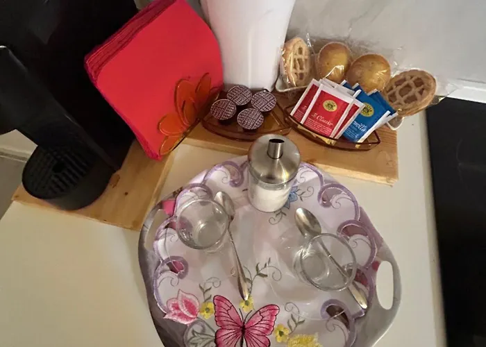 Il Paradiso Delle Farfalle Santa Maria Degli Angeli (Assisi)